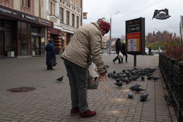 Өй янында күгәрченнәр ашаткан өчен штраф салалар