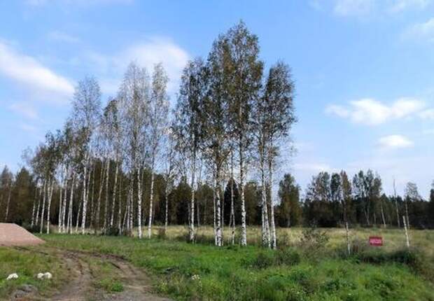 Синоптик Леус пообещал Кубани аномальное тепло