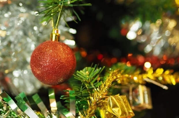 Меркачева назвала главное правило безопасности в Новый год