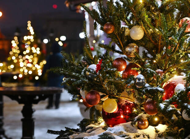 Отец Димитрий Фетисов призвал не поздравлять православных с годом Лошади