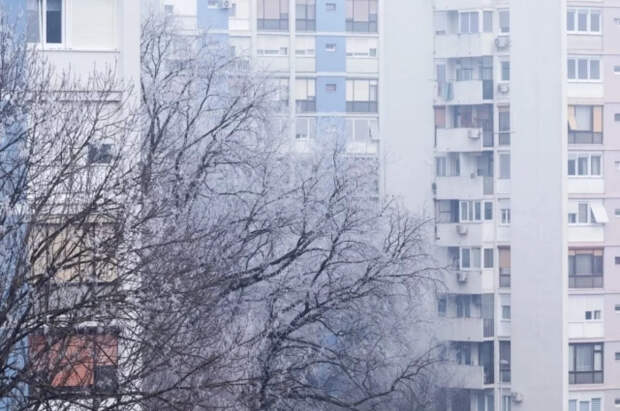 Синоптик Тишковец: в Подмосковье выпало 20% месячной нормы осадков