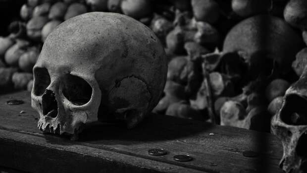 Выживание во время зомби-апокалипсиса, история лесбиянок, охота на призраков и другие учебные программы на Западе