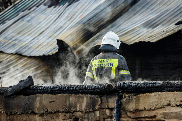 Российский пожарный вернул к жизни двух спасенных из огня кошек
