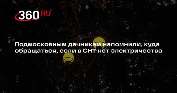 Подмосковным дачникам напомнили, куда обращаться, если в СНТ нет электричества