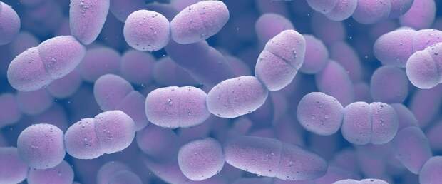 Ученые вернули эффективность старым антибиотикам против супербактерий