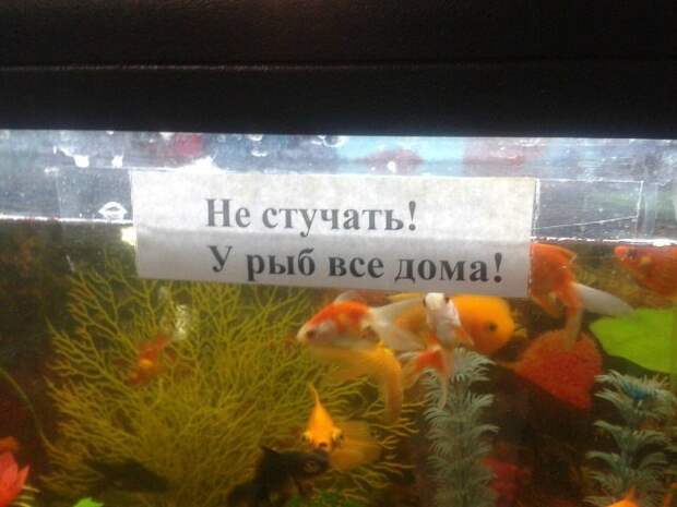Всё в кучу 6