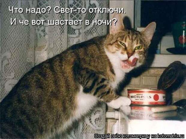 Лучшие котоматрицы недели (50 фото) Лучшие котоматрицы недели (50 фото)