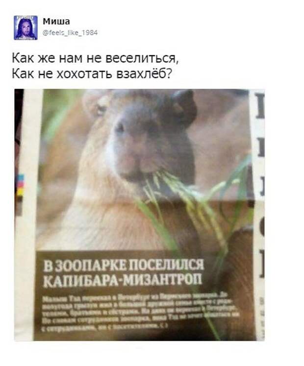 Пятничные прикольные картинки в ассортименте (29 шт)