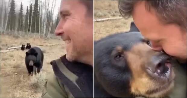 Черная медведица не забыла своего спасителя