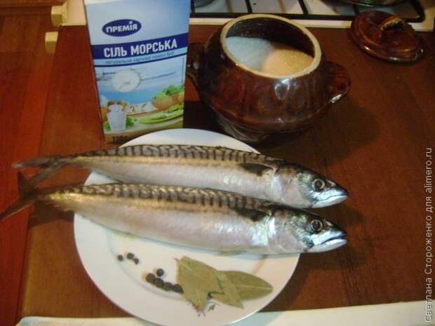 соленая скумбрия рецепт соленая скумбрия рецепт