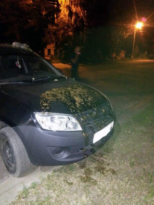Месть за громкую музыку: Пенсионерка из Белгорода облила автомобиль фекалиями