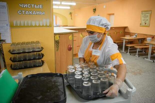 Окурок в чае: в Краснодаре школьные обеды довели родителей до коллективной жалобы