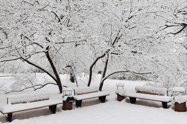 До 20% месячной нормы снега может выпасть в Москве 12 февраля