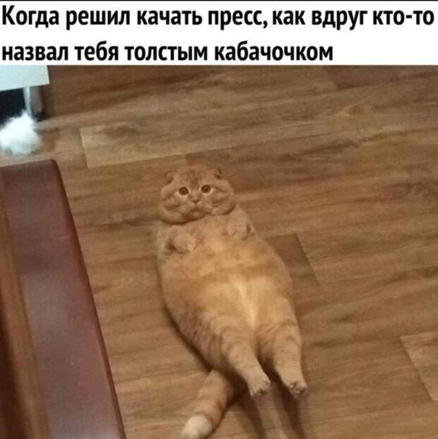 картинки прикольные смешные (18)