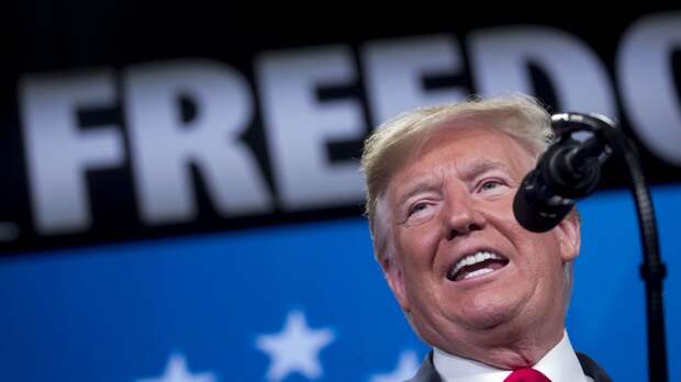 В Совфеде прокомментировали слова Трампа о диалоге с Россией&nbsp;
