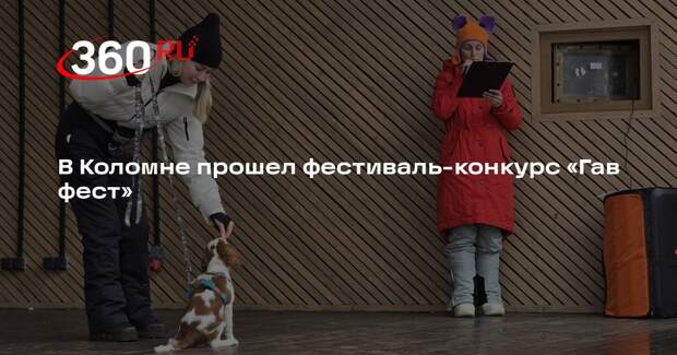 В Коломне прошел фестиваль-конкурс «Гав фест»