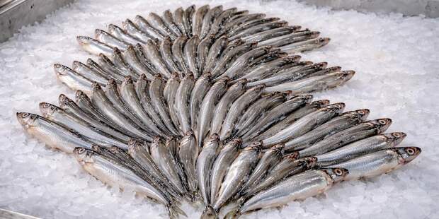 Сезон корюшки стартовал на рыбных рынках «Москва — на волне»