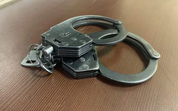 Из Рязанской области депортировали еще четверых мигрантов-уголовников