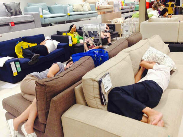 Отдых в магазине IKEA.| Фото: Animales Imagenes.