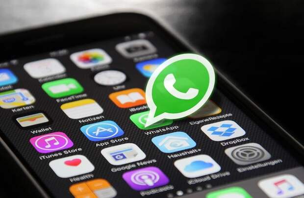 Новые условия WhatsApp отпугивают пользователей Новые условия WhatsApp отпугивают пользователей