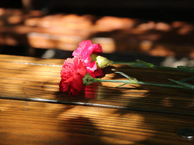 Установлена причина смерти супруги Басилашвили — Галины Мшанской