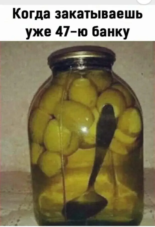   .  ...
