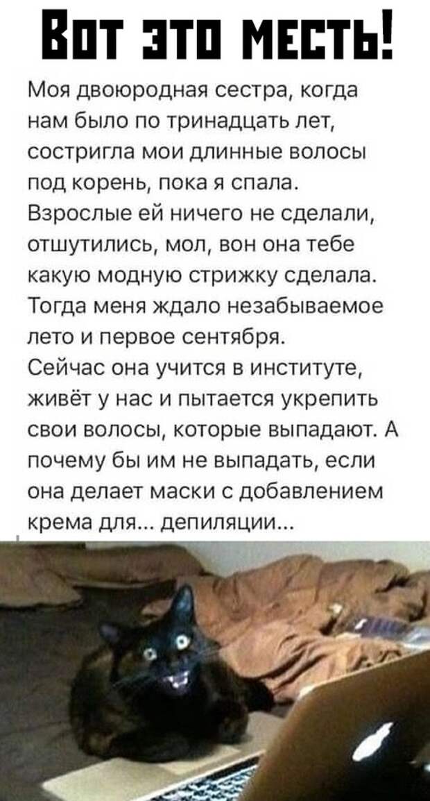 Подборка картинок. Вечерний выпуск (30 фото)