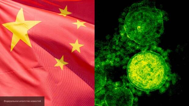 Ученые склоняются к тому, что новый коронавирус в Китае попал к человеку от летучих мышей