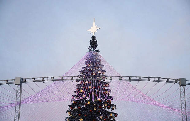 Туляков приглашают посетить "Рождественские колядки на Куликовом поле"