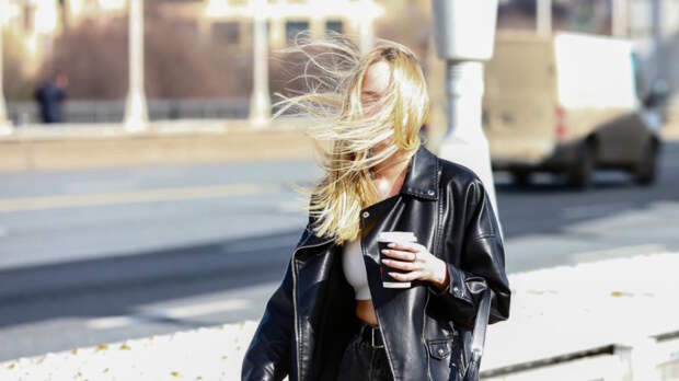 В Приморском крае порывы ветра могут составить до 35-40 м/с – Вильфанд