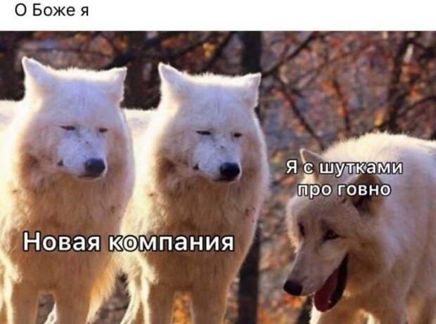 Лучшие шутки и мемы из Сети