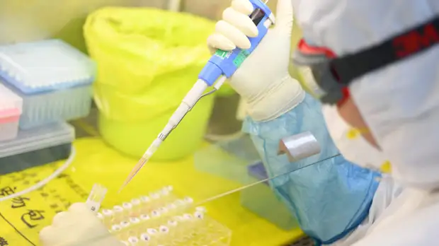 Вирусолог оценил ситуацию с изучением коронавируса