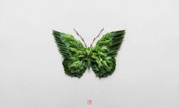 Natura Insects. Raku Inoue 3