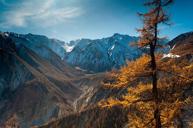 Золотая осень на Байкале