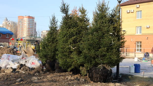 Сквер на пересечении улиц Пушкина и Горького, октябрь 2025 / Фото: amic.ru