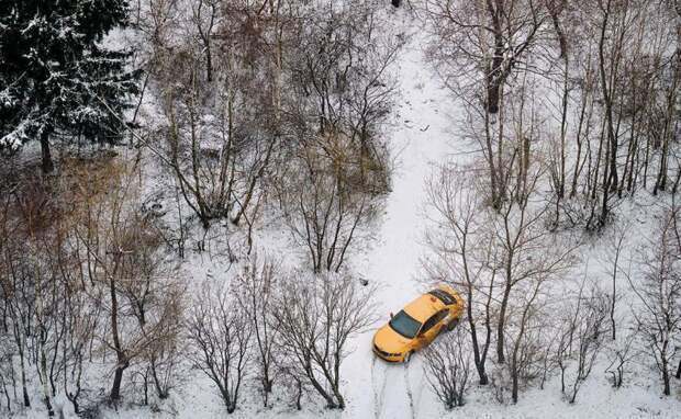 «Яндекс» запустит сервис для заказа такси для молодежи