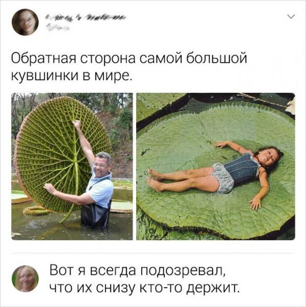 Новая подборка забавных комментариев из Сети Новая подборка забавных комментариев из Сети