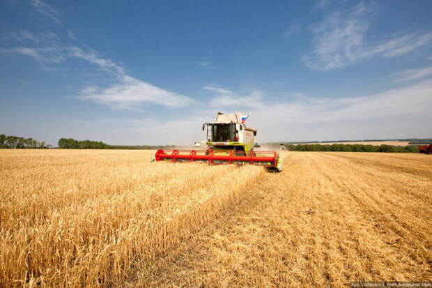 Минсельхоз России: на 26 сентября собрано 122 млн тонн зерна