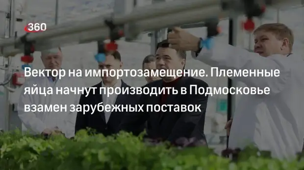 Производство племенных яиц появится в Подмосковье взамен зарубежных поставок
