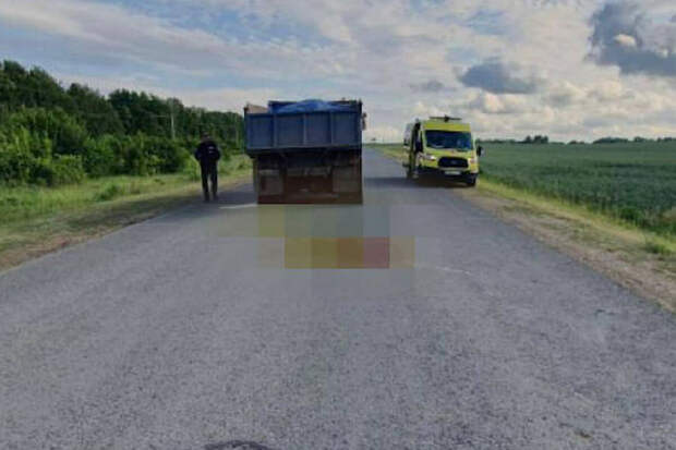 В Татарстане лошадь сбросила девушку под колеса проезжавшего мимо "КамАЗа"