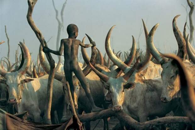 Динка - древний народ Судана