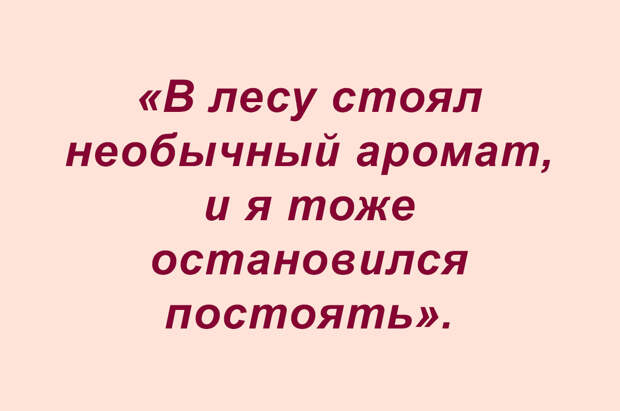 Сочинения школьные — фразочки прикольные (подборка 3)