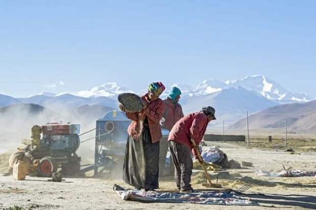 Тибетцы - потомки денисовских людей.