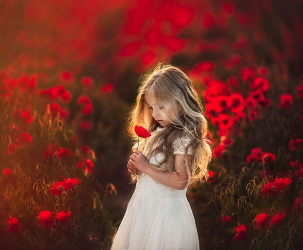 Прекрасный образ маленькой девочки, с нежным цветком красного мака.