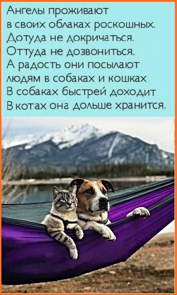 Анекдоты, истории и картинки с надписями