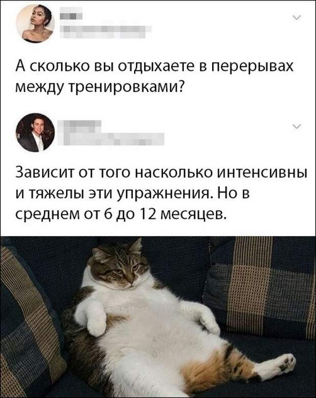 Тренировки Тренировки