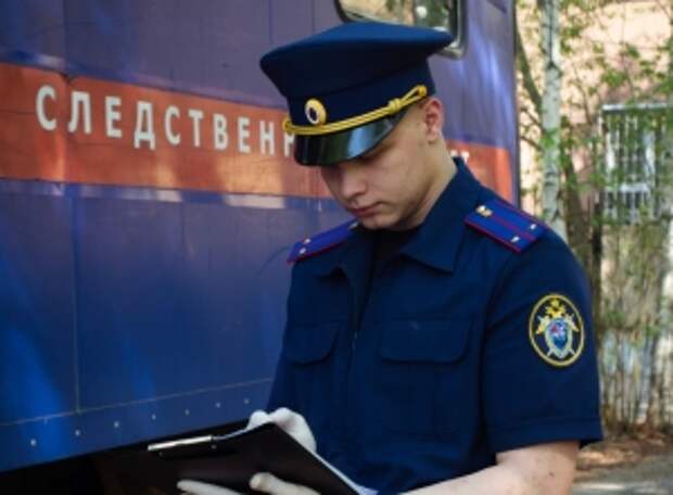 Главе ведомства представят информацию по обстоятельствам ДТП в Республике Башкортостан, в котором погибла местная жительница и пострадал малолетний ребенок