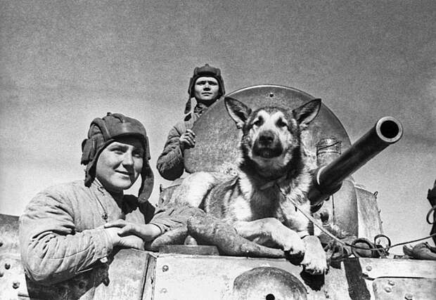 Экипаж советского бронеавтомобиля БА-10: старший сержант Евгений Петрович Эндрексон (год рождения — 1923), сержант В.П. Ершаков и овчарка Джульбарс. Южный фронт. военная техника, вторая мировая война, история