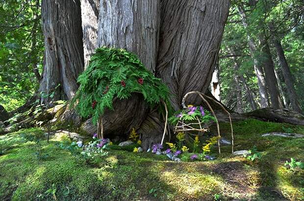 Cedar River tea house front view  Cedar River tea house front view