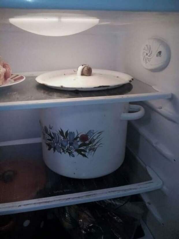 Мой друг не очень умный
